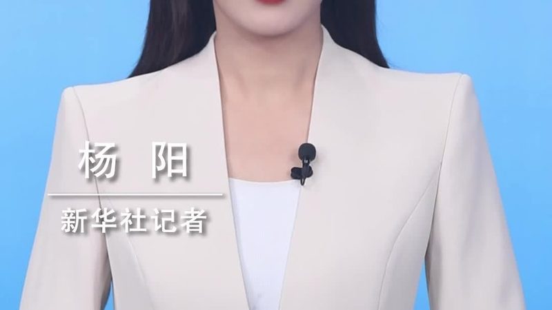 科技服务招标代理公司排名：揭秘行业选标关键